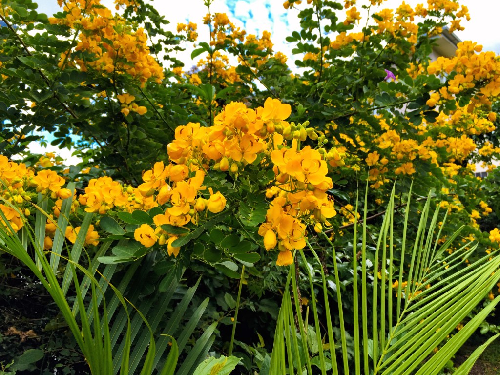 Another Ode to&nbsp;Autumn